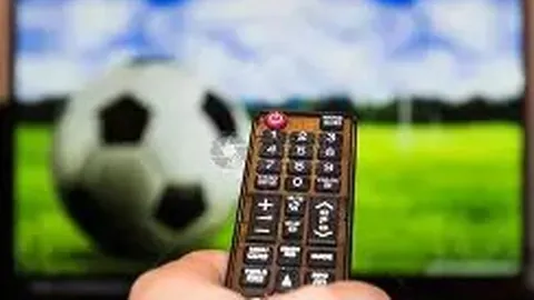 万博manbetx体育平台